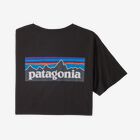 patagonia t-shirt